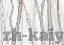 java炸金花代码-Java实现炸金花代码